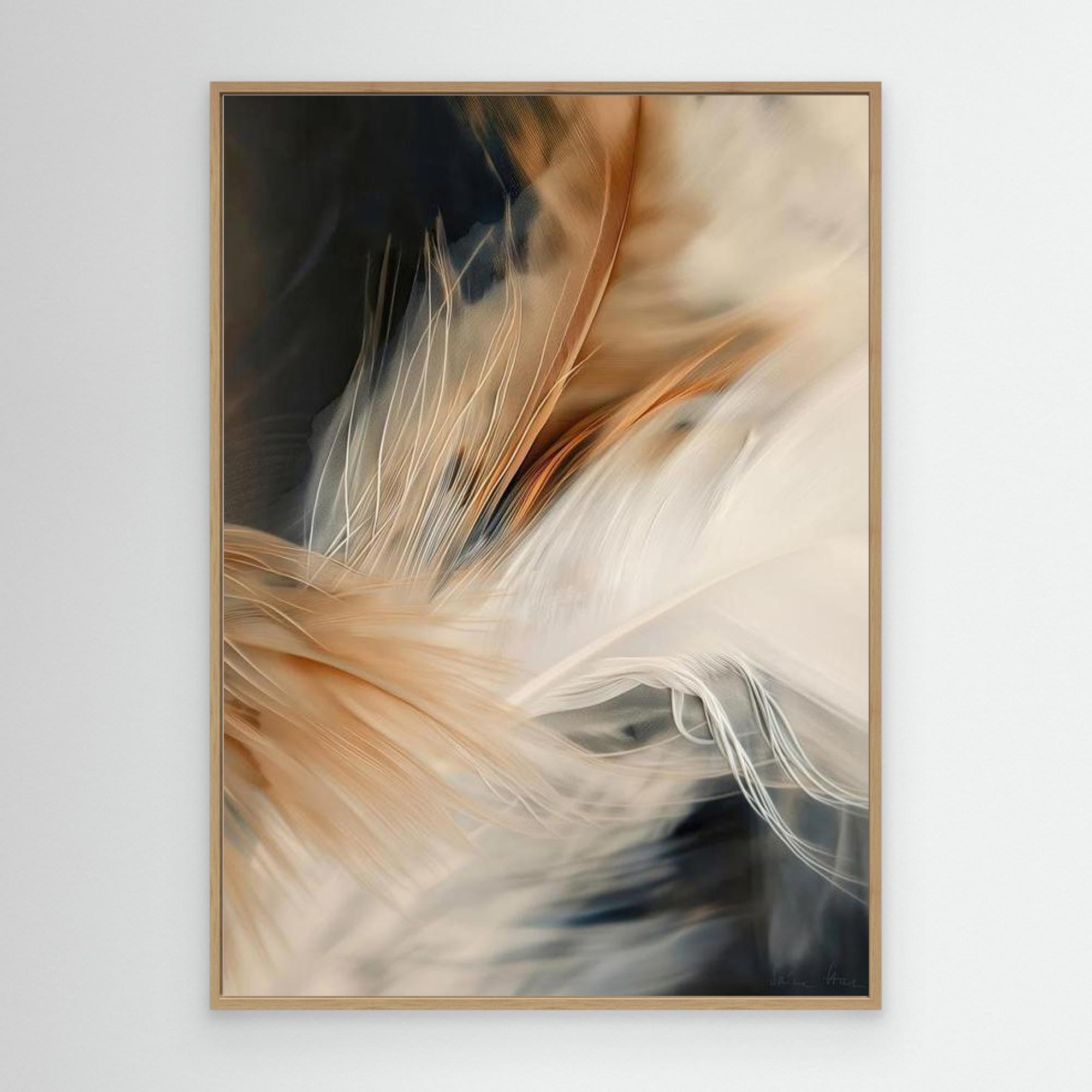 Aerial Gestures 09 abstract feather composition fine art print oak frame 