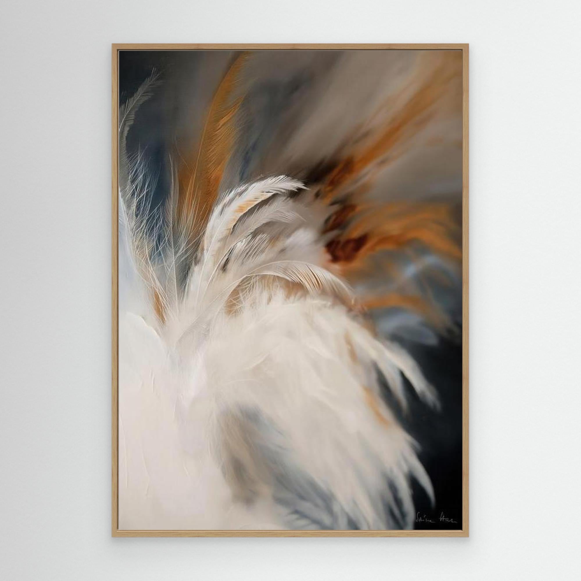 Aerial Gestures 11 abstract feather composition fine art print oak frame