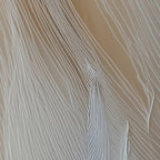 Aerial Gestures 02