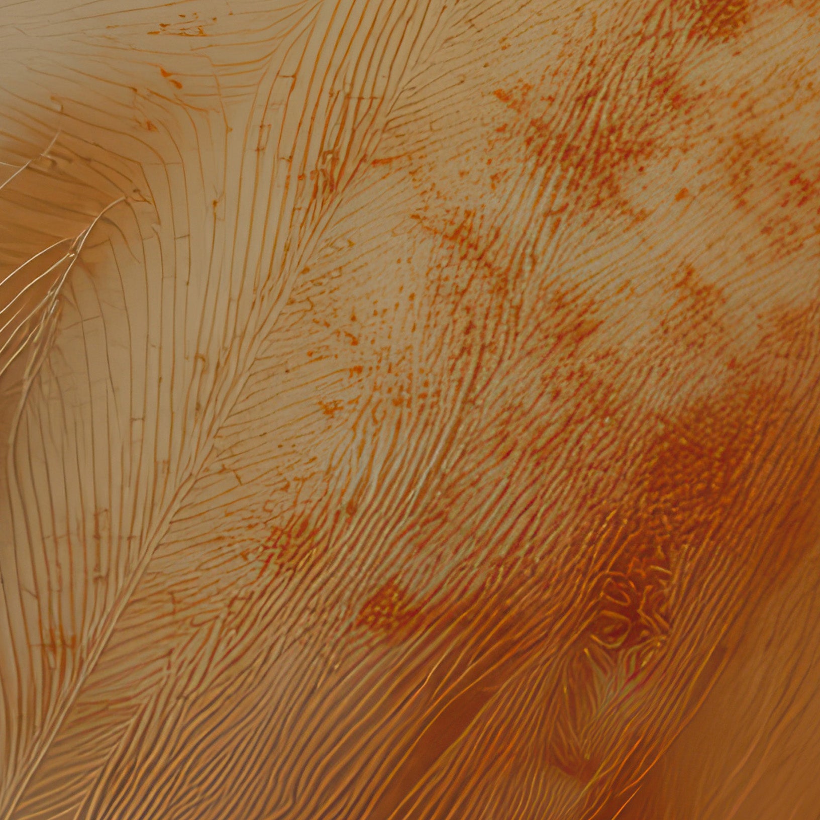 Aerial Gestures 02