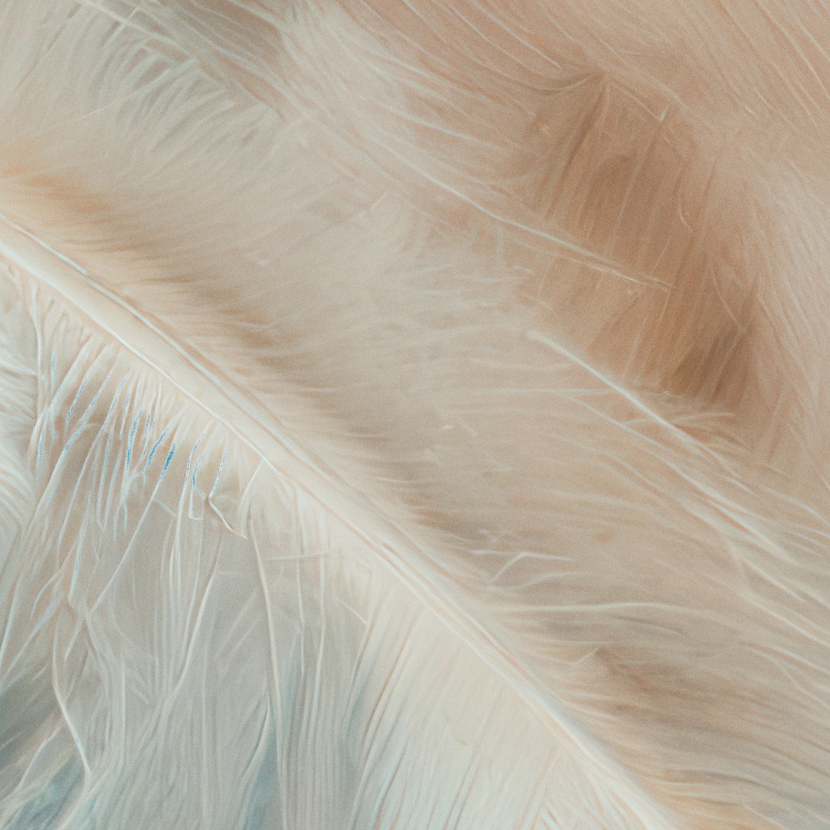 Aerial Gestures 06