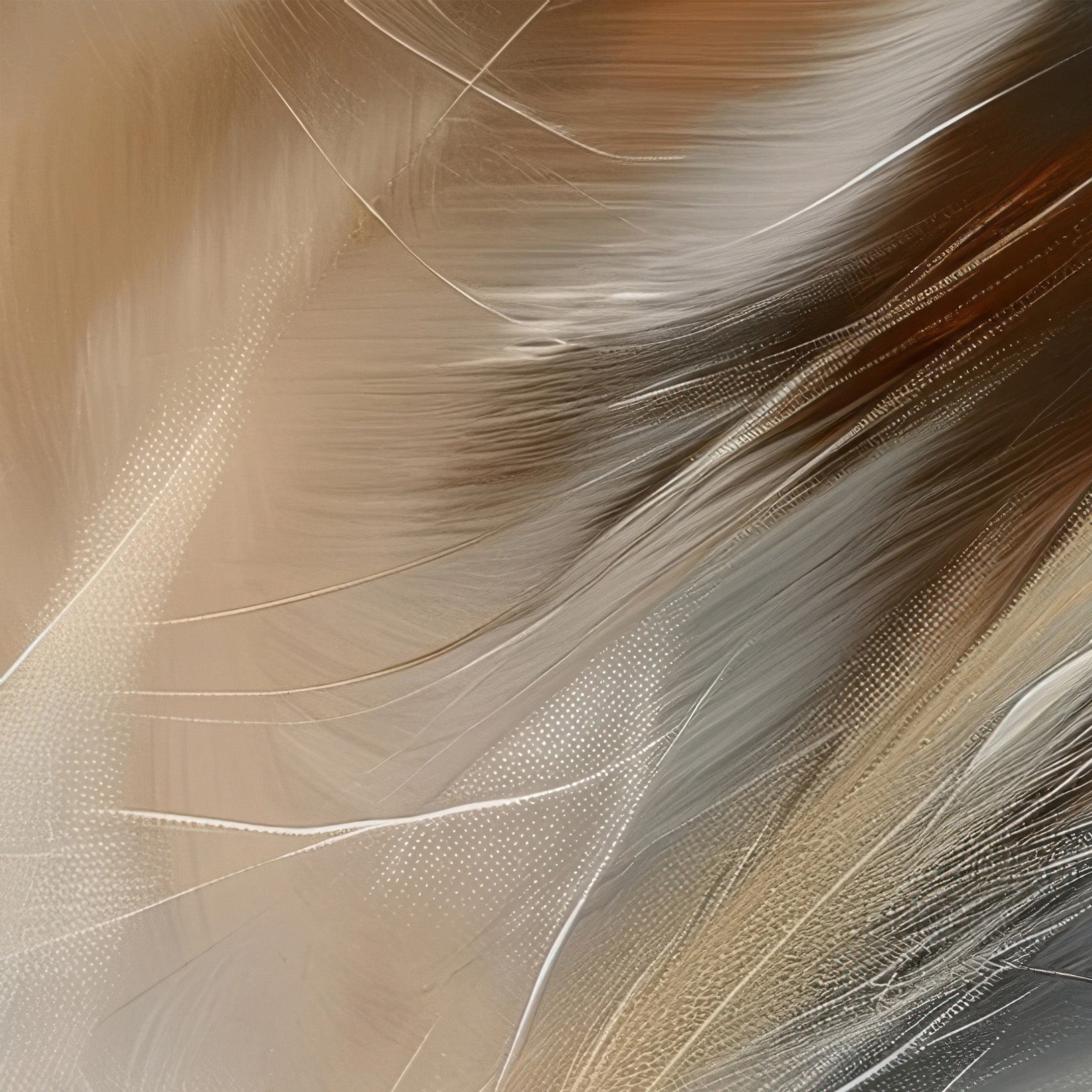 Aerial Gestures 08 abstract feather texture detail