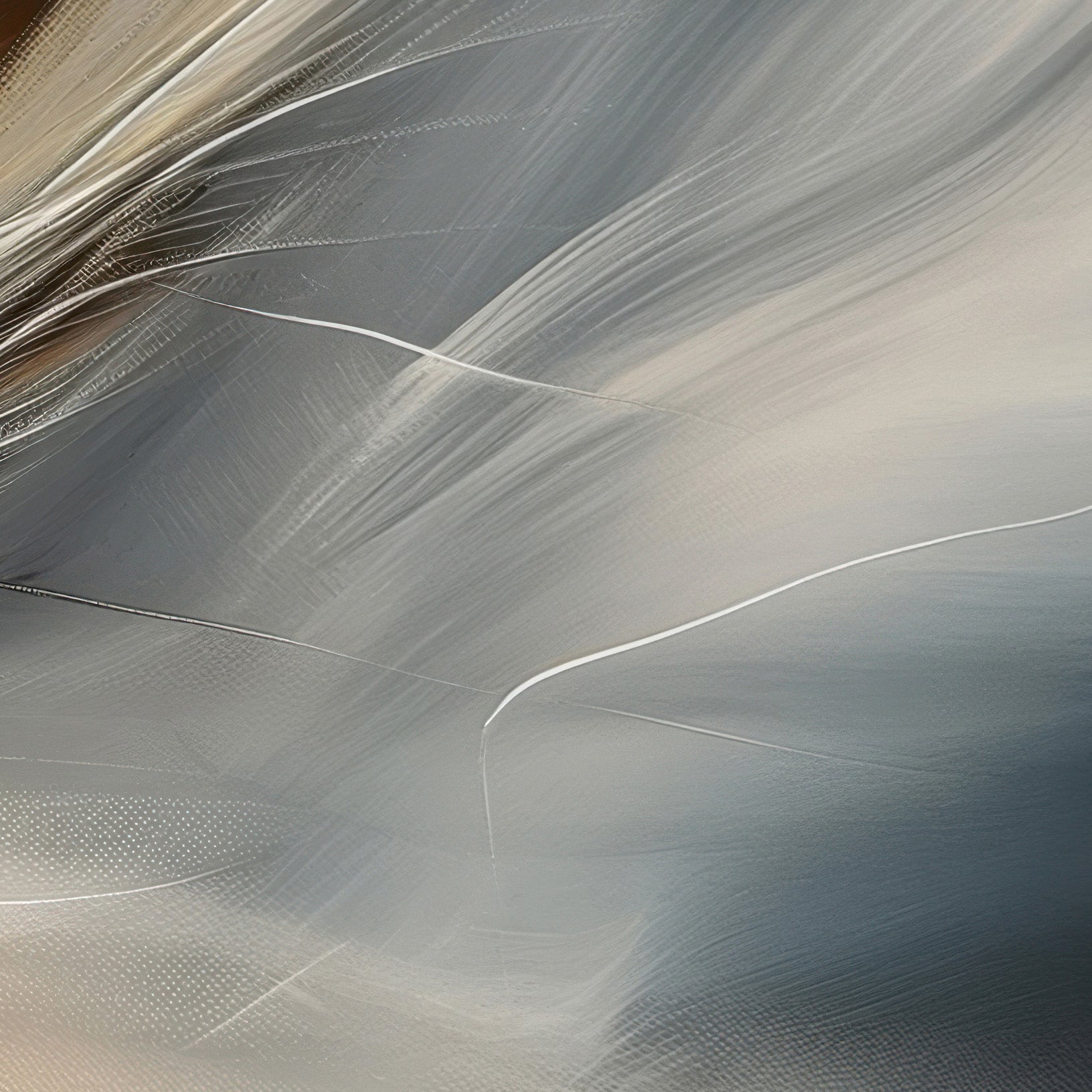 Aerial Gestures 08 abstract feather texture detail
