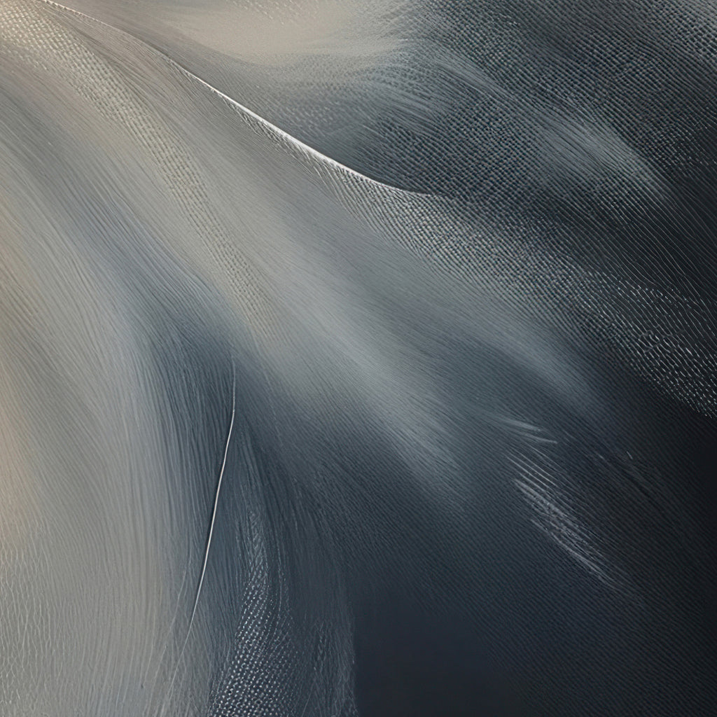 Aerial Gestures 08 abstract feather texture detail