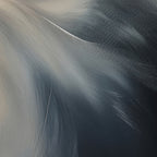Aerial Gestures 08 abstract feather texture detail