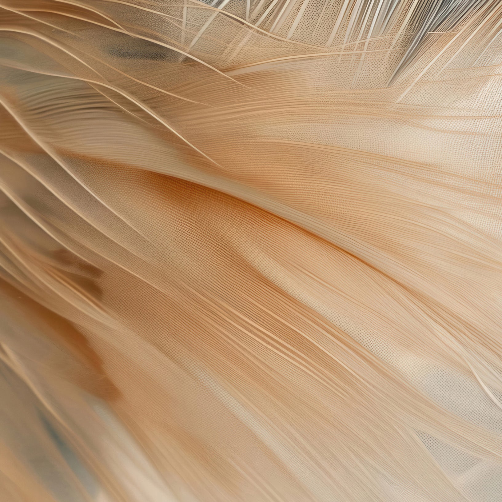 Aerial Gestures 09 abstract feather texture detail
