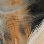 Aerial Gestures 10 abstract feather texture detail