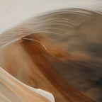Aerial Gestures 10 abstract feather texture detail