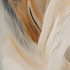 Aerial Gestures 10 abstract feather texture detail