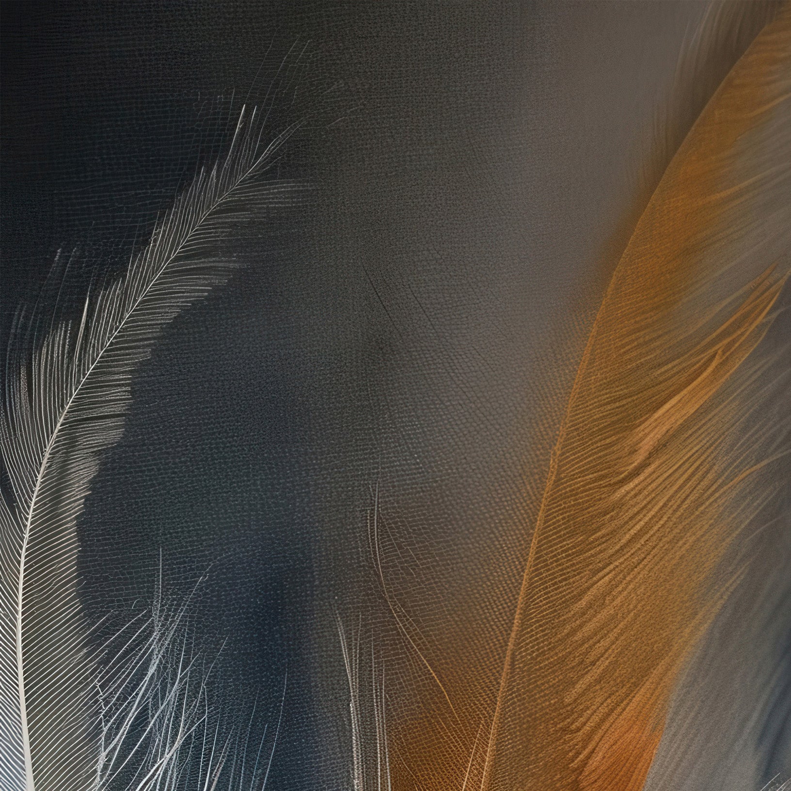 Aerial Gestures 11 abstract feather texture detail