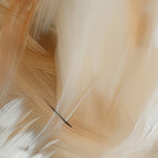 Aerial Gestures 14 abstract feather texture detail