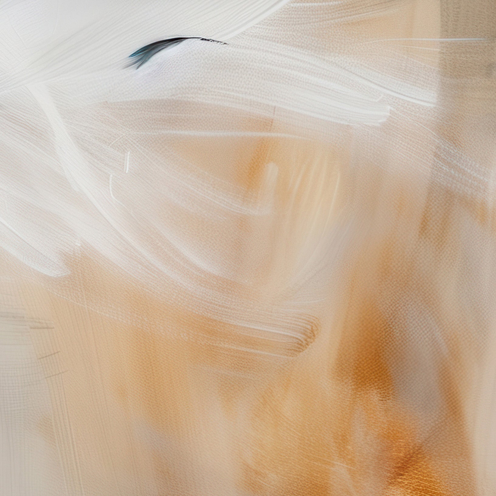Aerial Gestures 14 abstract feather texture detail