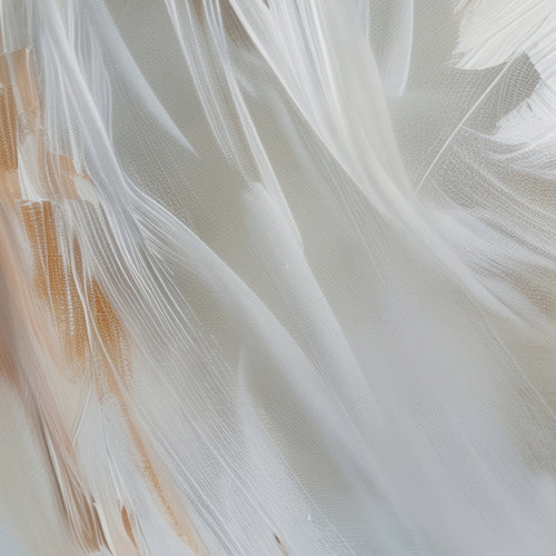 Aerial Gestures 14 abstract feather texture detail