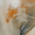 Aerial Gestures 16 abstract feather texture detail