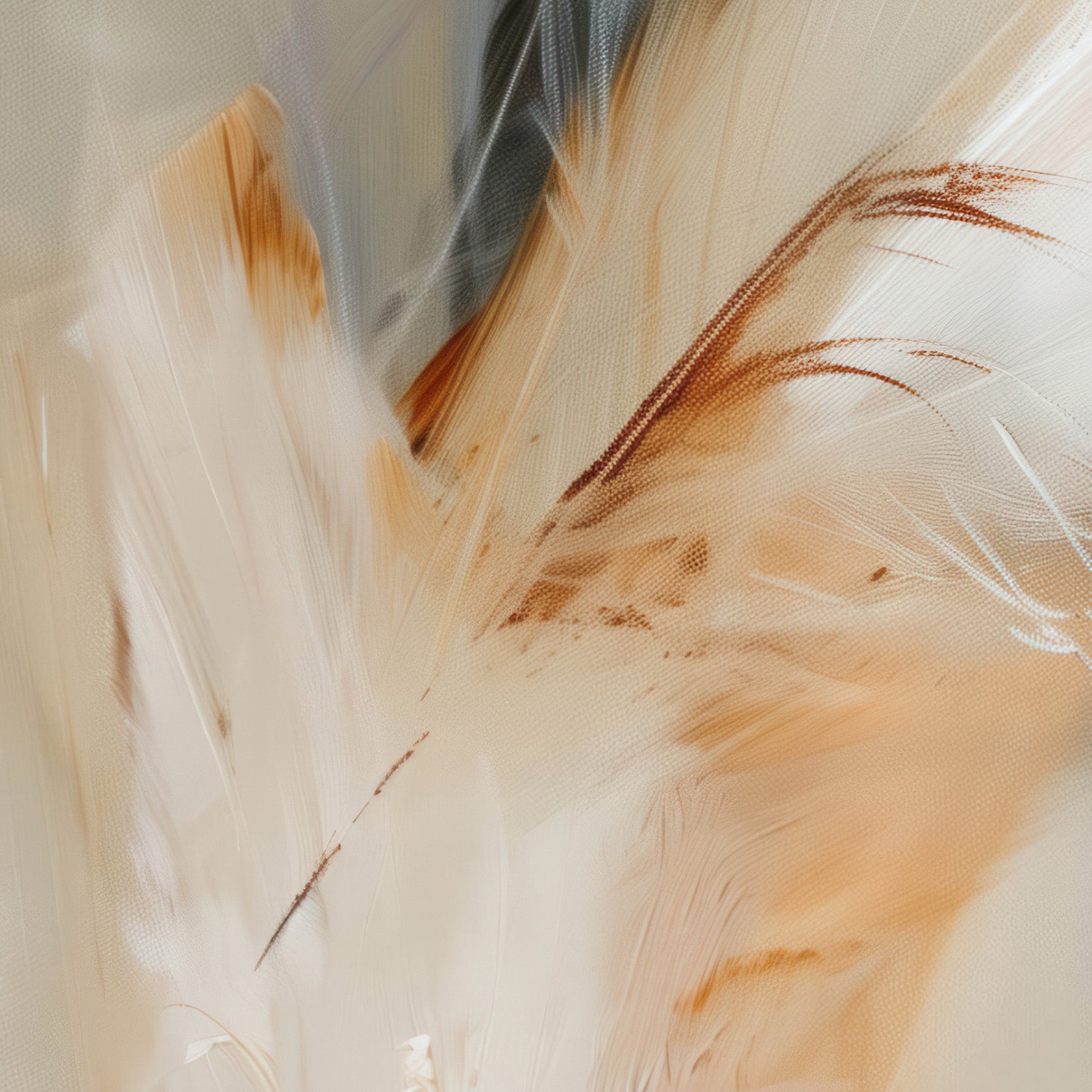 Aerial Gestures 16 abstract feather texture detail