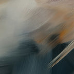 Aerial Gestures 18