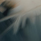 Aerial Gestures 18