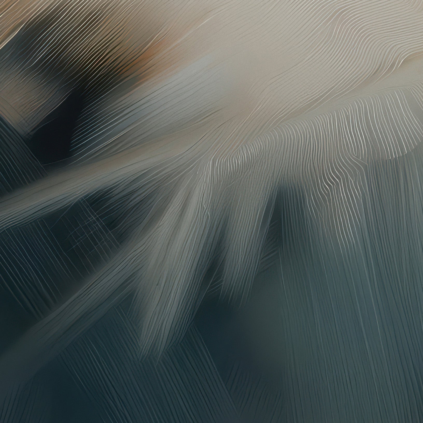 Aerial Gestures 18