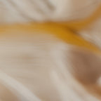 Aerial Gestures 20