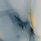 Faint Signals 03