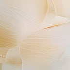 Faint Signals 07
