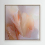 Tulips 17