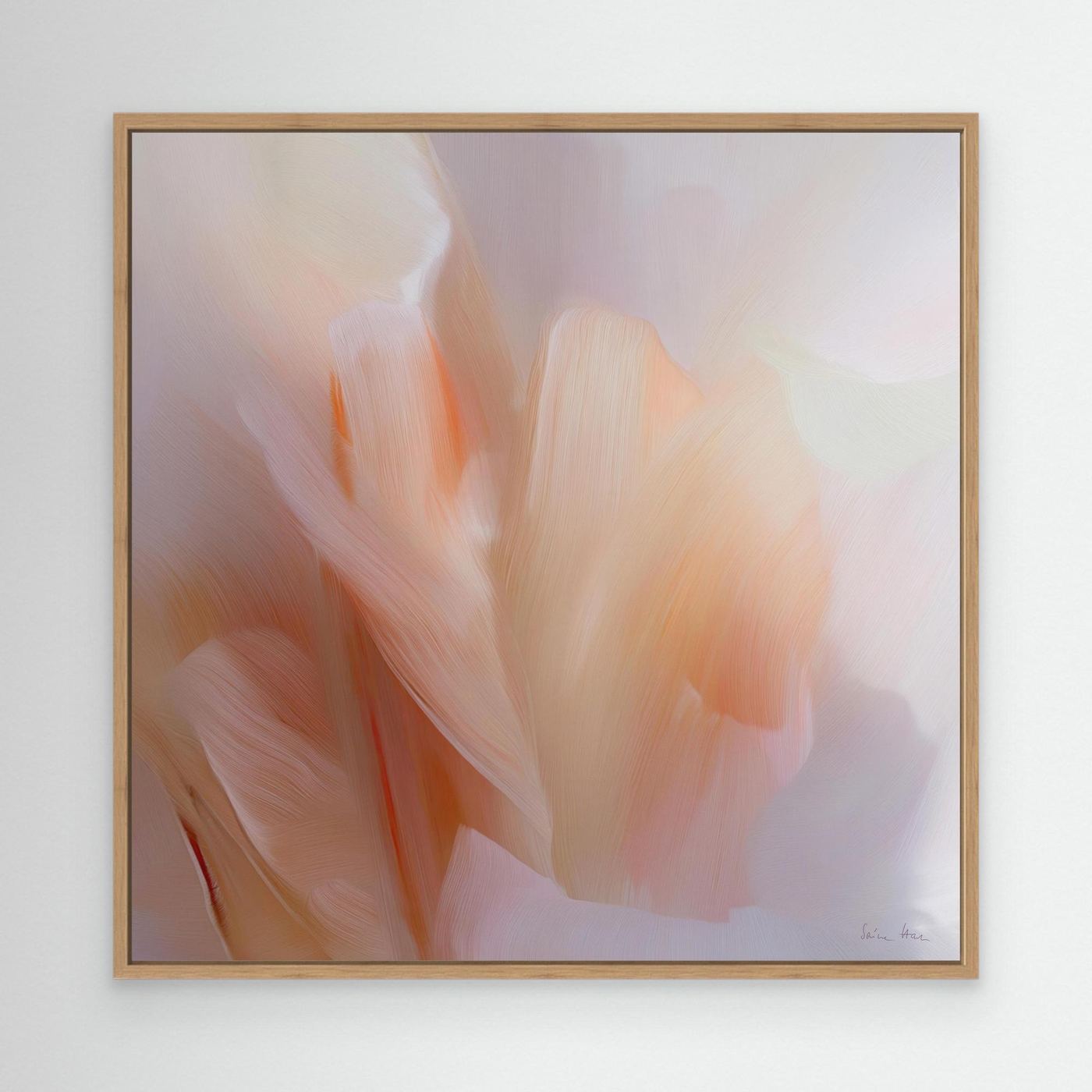 Tulips 17