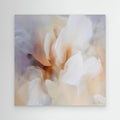 Tulips 13