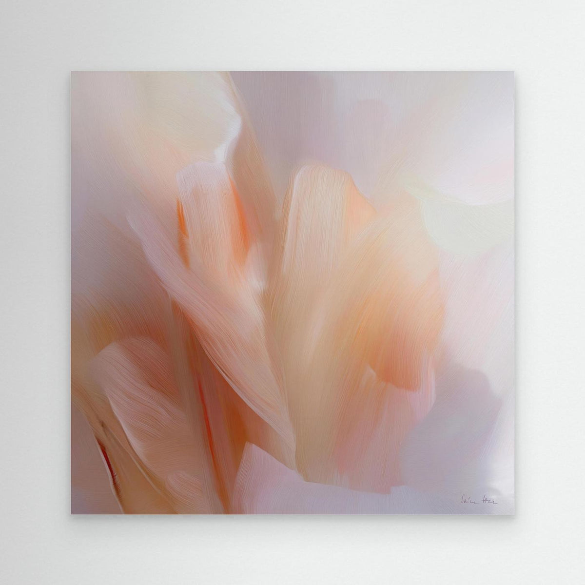 Tulips 17